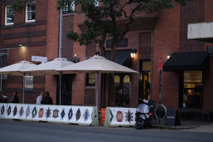 Primary - Potts Point