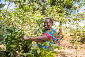 Melbourne Coffee Merchants: IWD feature